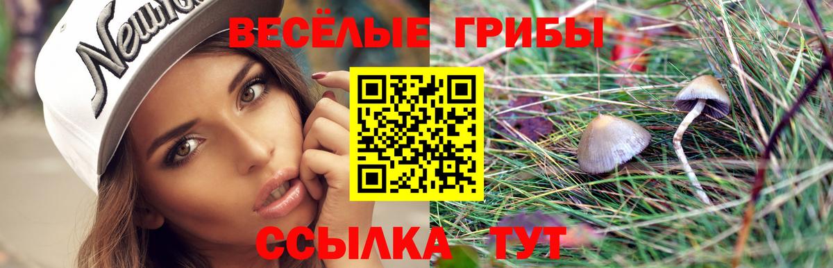 Галлюциногенные грибы MAGIC MUSHROOMS Аша