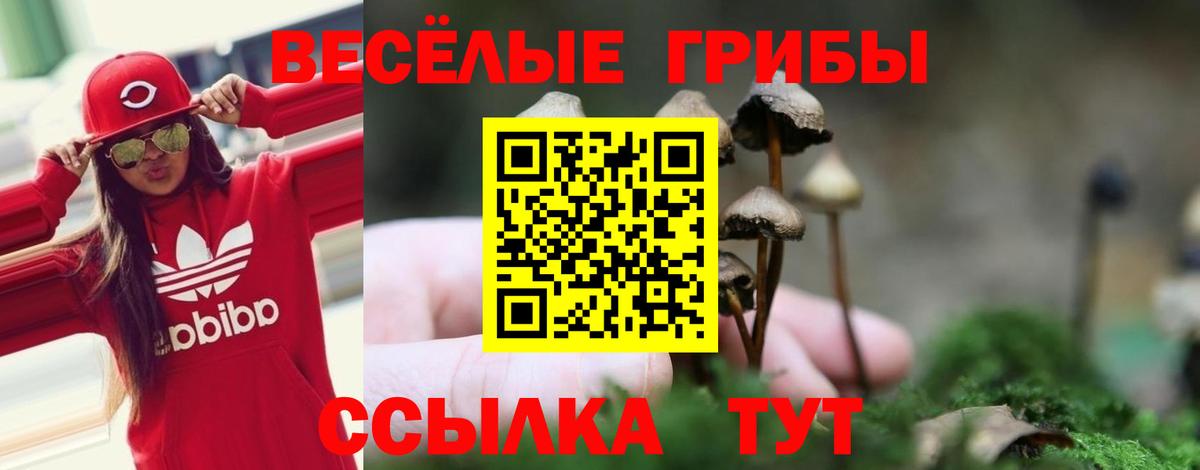 Аша  Псилоцибиновые грибы MAGIC MUSHROOMS  Вход с VPN 